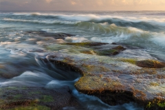 Coquina Rainbow