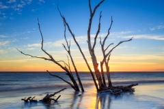 Driftwood Sentry